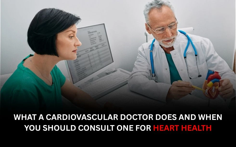What a Cardiovascular Doctor Does and When You Should Consult One for Heart Health